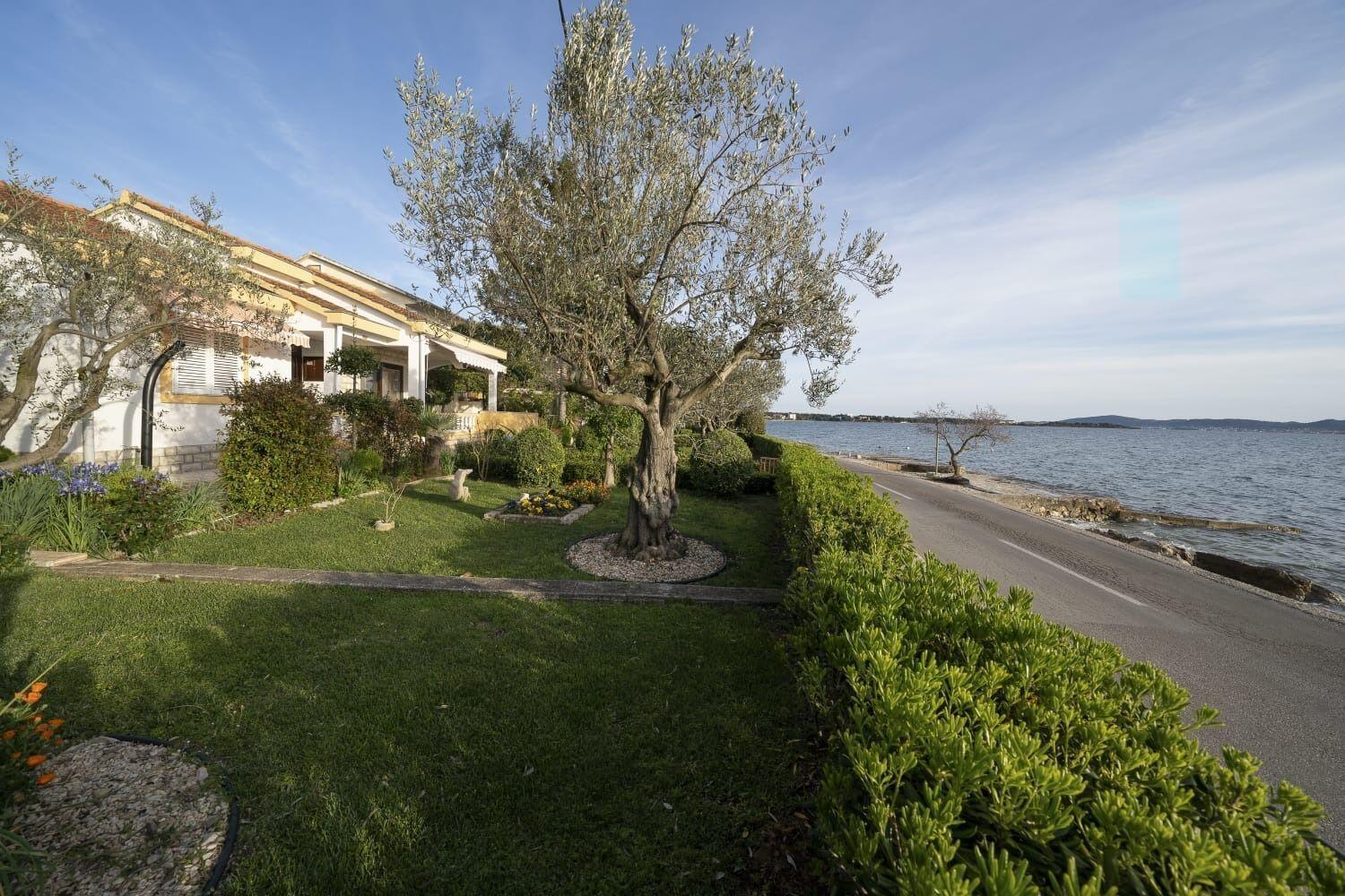 House Villa Petar 1 Zadar Eksteriør billede